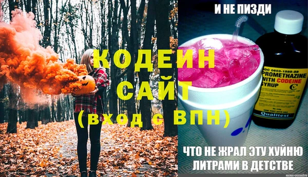 ГАЛЛЮЦИНОГЕННЫЕ ГРИБЫ Дмитриев