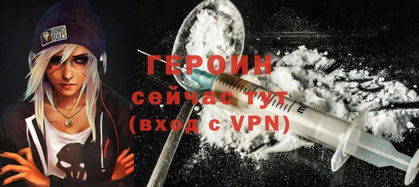 ГАЛЛЮЦИНОГЕННЫЕ ГРИБЫ Дмитриев