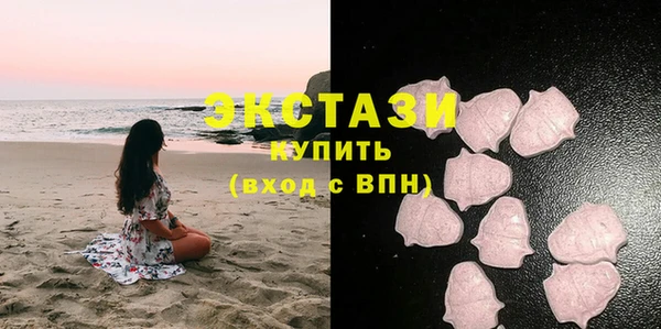 ГАЛЛЮЦИНОГЕННЫЕ ГРИБЫ Дмитриев