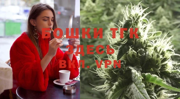 ГАЛЛЮЦИНОГЕННЫЕ ГРИБЫ Дмитриев