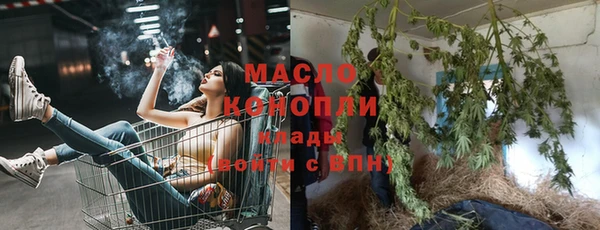 ГАЛЛЮЦИНОГЕННЫЕ ГРИБЫ Дмитриев