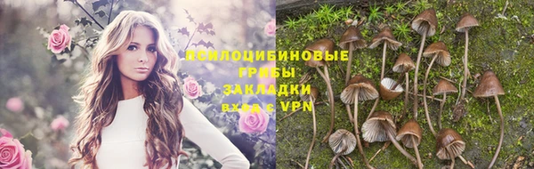 трава Гусев