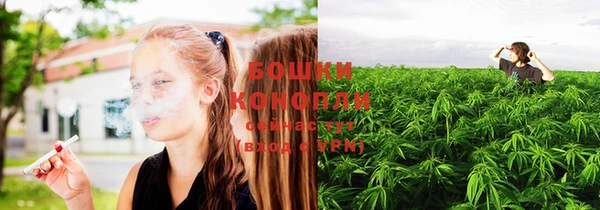 ГАЛЛЮЦИНОГЕННЫЕ ГРИБЫ Дмитриев
