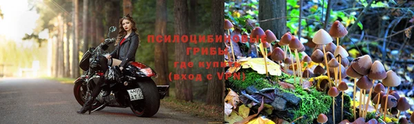 гидропоника Дмитров