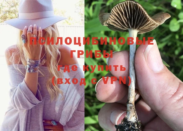 трава Гусев