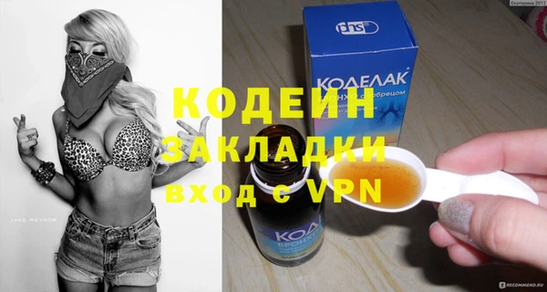 ГАЛЛЮЦИНОГЕННЫЕ ГРИБЫ Дмитриев
